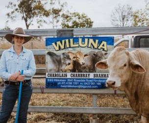 Profile picture of Wiluna Charolais, Charbray & Brahman