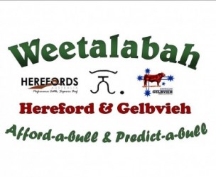 Profile picture of Weetalabah Cattle services