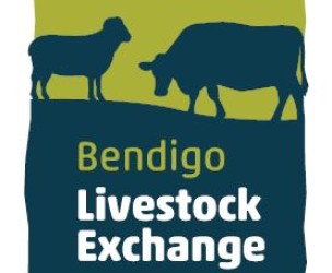 Profile picture of Bendigo Livestock Exchange