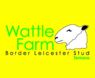 Profile picture of Wattle Farm Border Leicester Stud