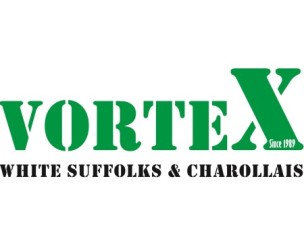Profile picture of Vortex Charollais Stud
