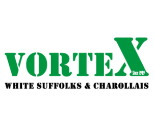 Profile picture of Vortex White Suffolks